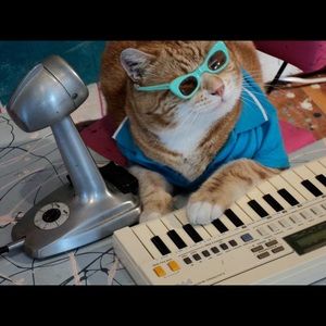 Meet your Posher, Kerry